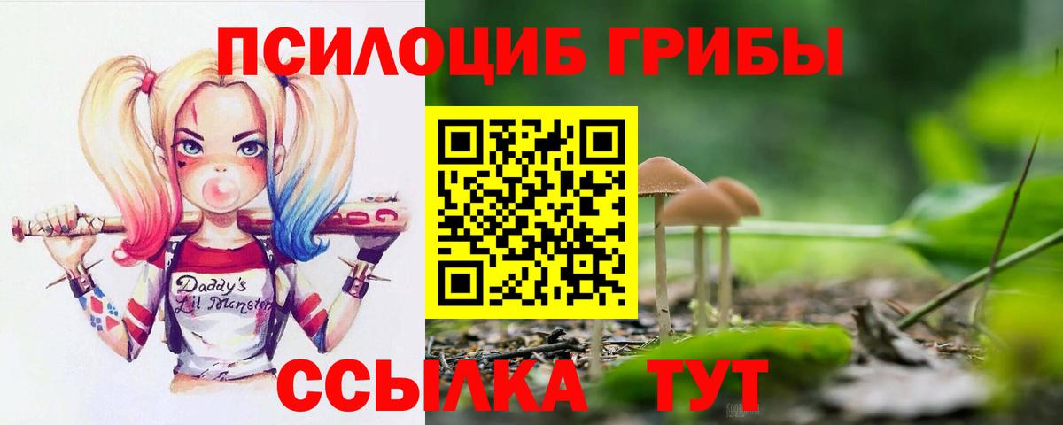 Псилоцибиновые грибы Psilocybine cubensis  Вход с VPN  Полевской 